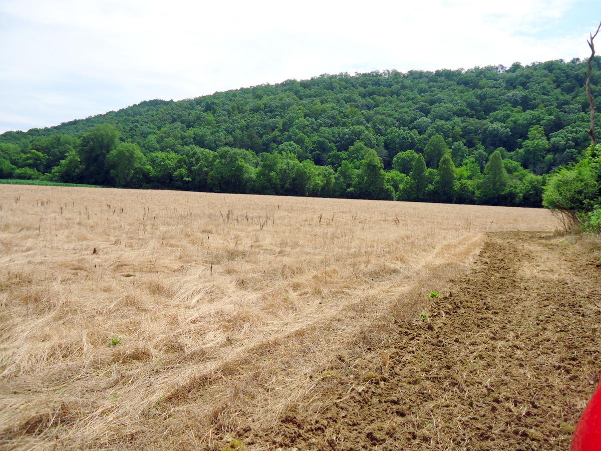 Sinking Cave Road Tellico Plains, TN 37385 - Photo 20 of 35 19-DSC08126