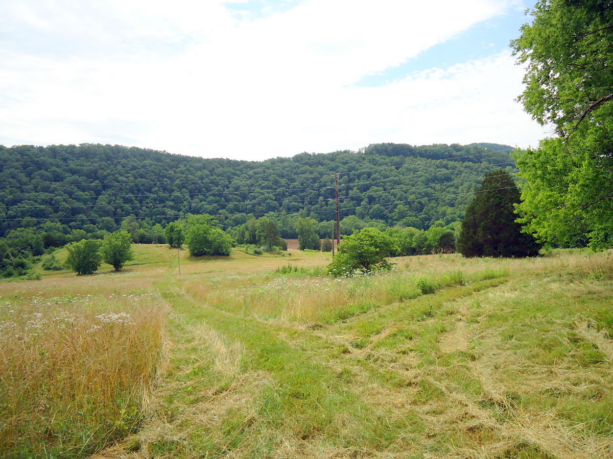 Sinking Cave Road Tellico Plains, TN 37385 - Photo 3 of 35 06-DSC08114