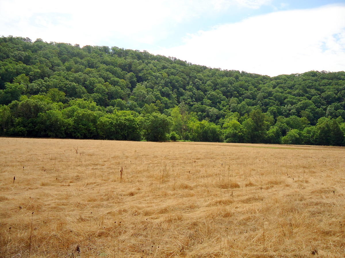 Sinking Cave Road Tellico Plains, TN 37385 - Photo 22 of 35 21-DSC08128