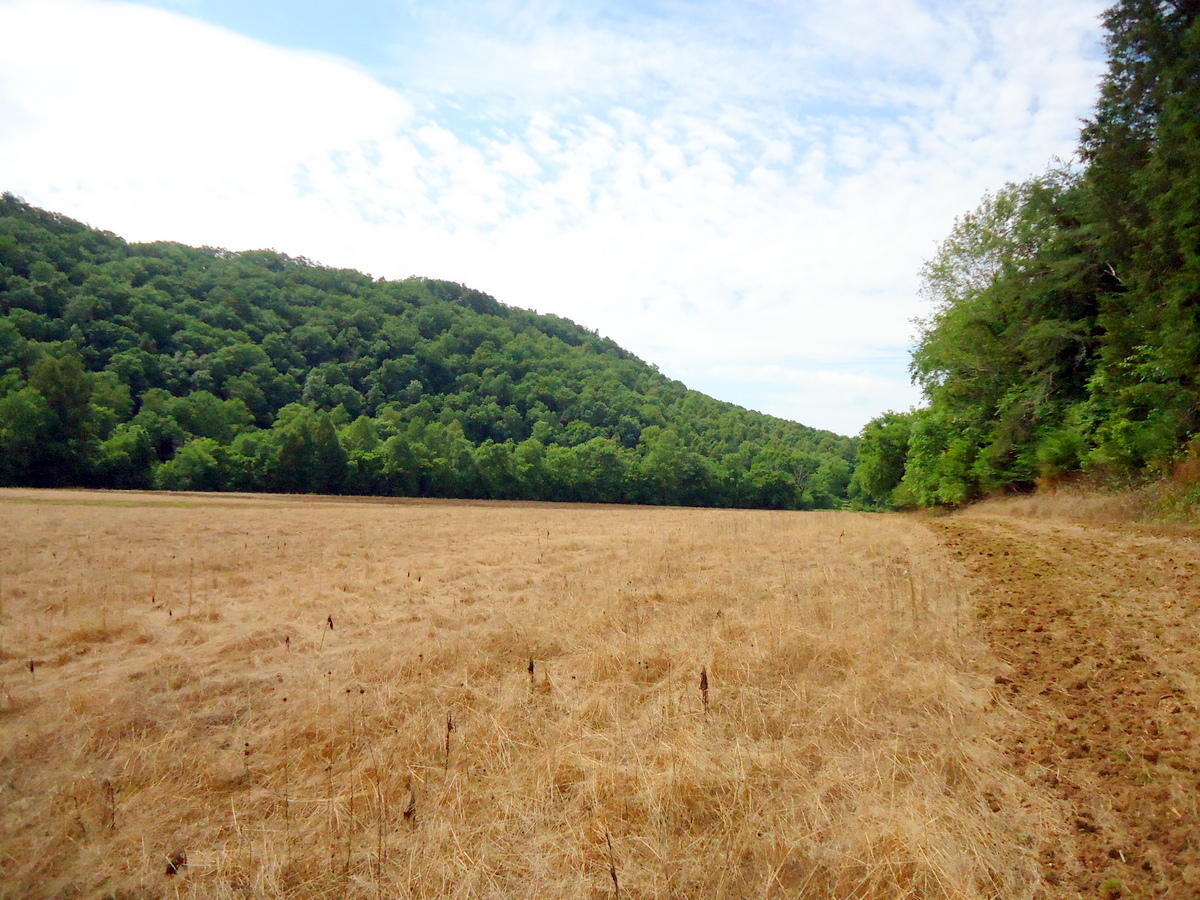 Sinking Cave Road Tellico Plains, TN 37385 - Photo 23 of 35 22-DSC08129