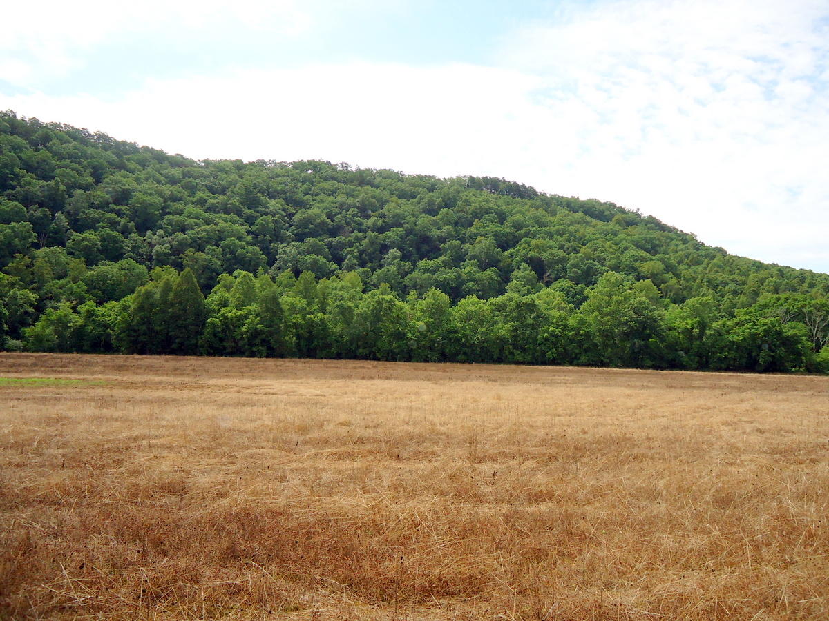 Sinking Cave Road Tellico Plains, TN 37385 - Photo 24 of 35 23-DSC08130