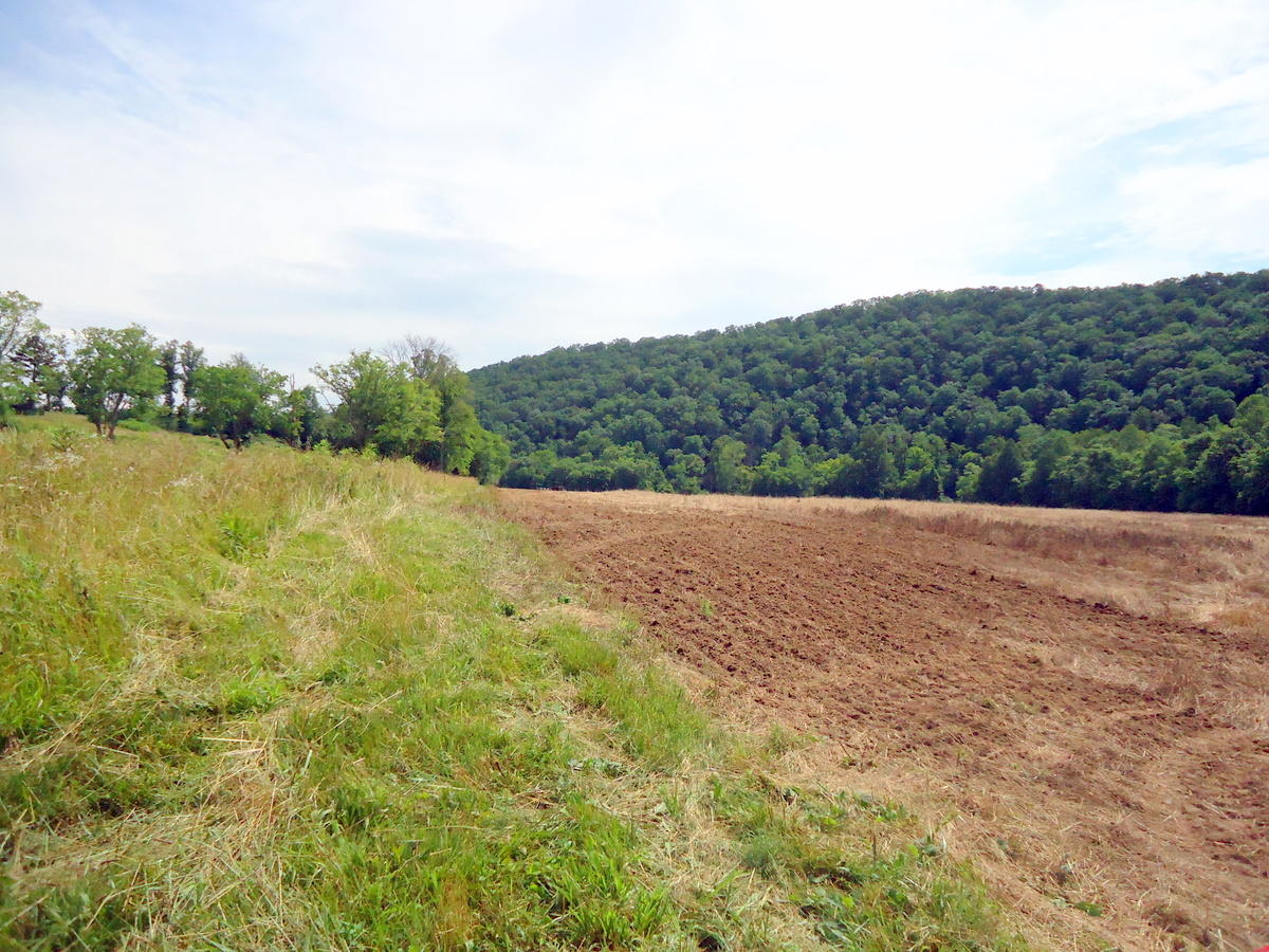 Sinking Cave Road Tellico Plains, TN 37385 - Photo 25 of 35 24-DSC08131
