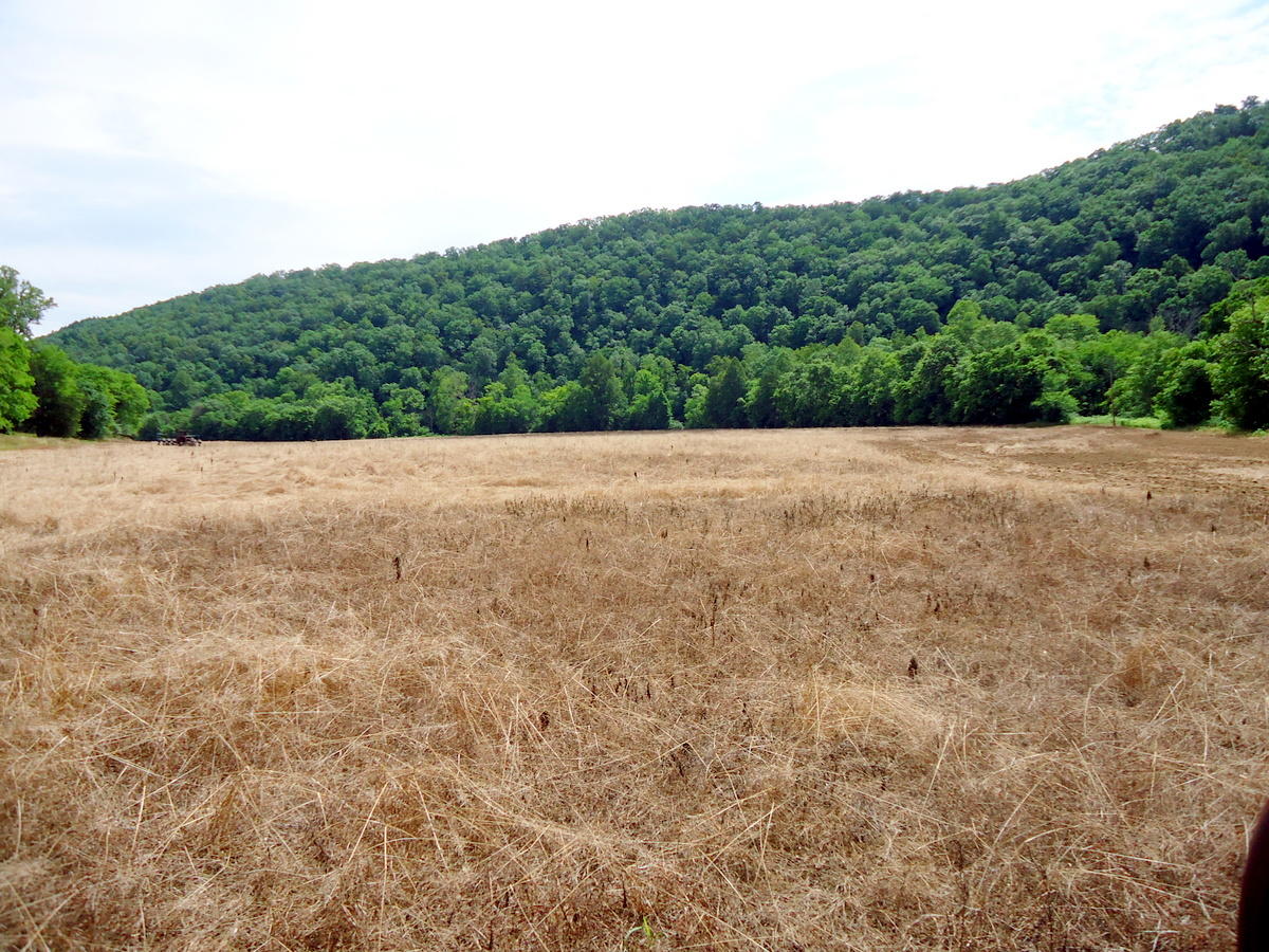 Sinking Cave Road Tellico Plains, TN 37385 - Photo 26 of 35 25-DSC08132