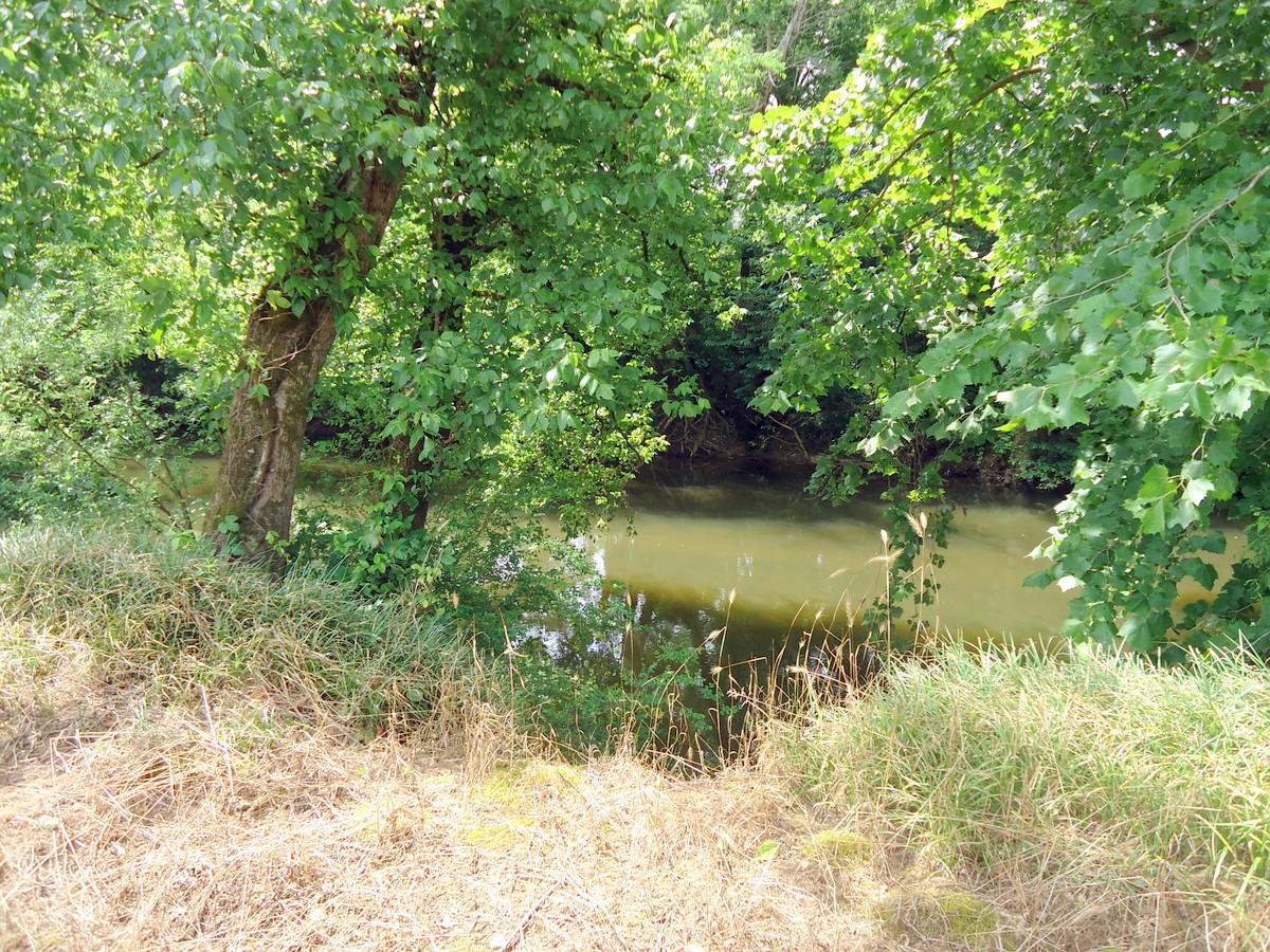 Sinking Cave Road Tellico Plains, TN 37385 - Photo 27 of 35 26-DSC08133