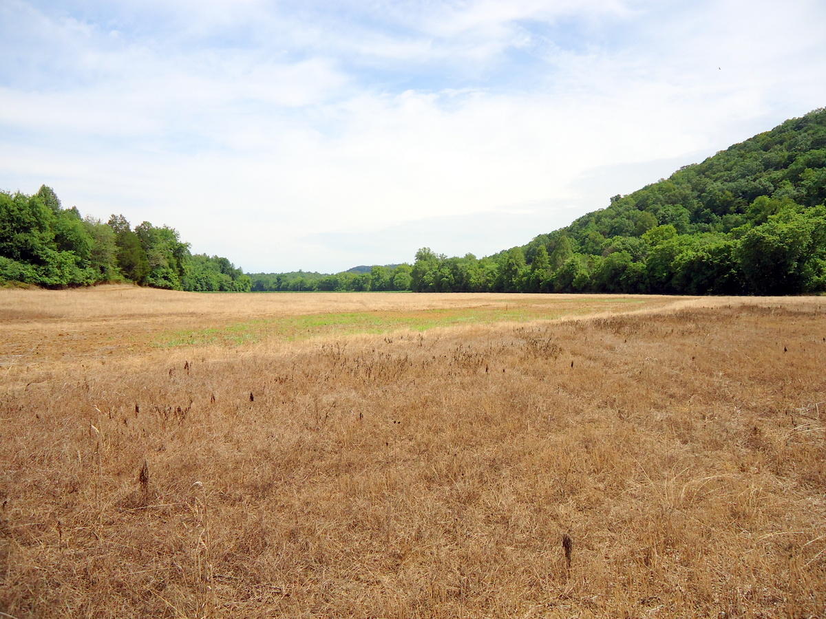 Sinking Cave Road Tellico Plains, TN 37385 - Photo 29 of 35 28-DSC08135