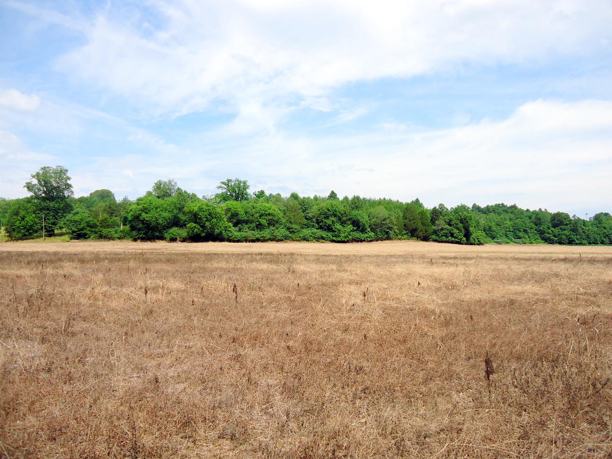 Sinking Cave Road Tellico Plains, TN 37385 - Photo 30 of 35 29-DSC08136