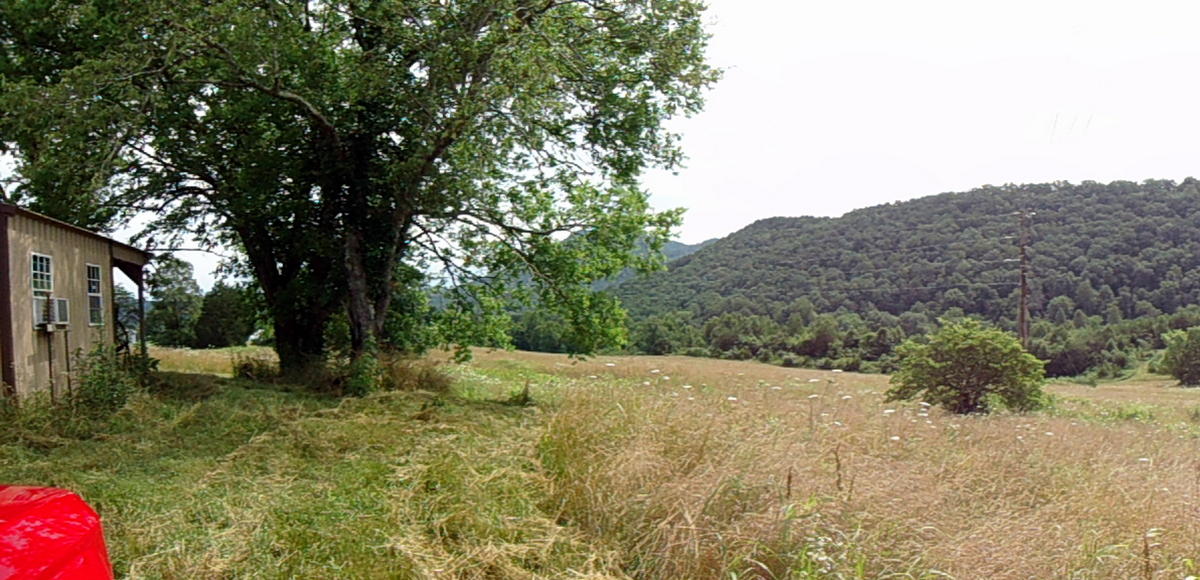 Sinking Cave Road Tellico Plains, TN 37385 - Photo 34 of 35 33-DSC08107-001