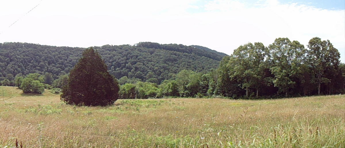 Sinking Cave Road Tellico Plains, TN 37385 - Photo 35 of 35 34-DSC08107-002