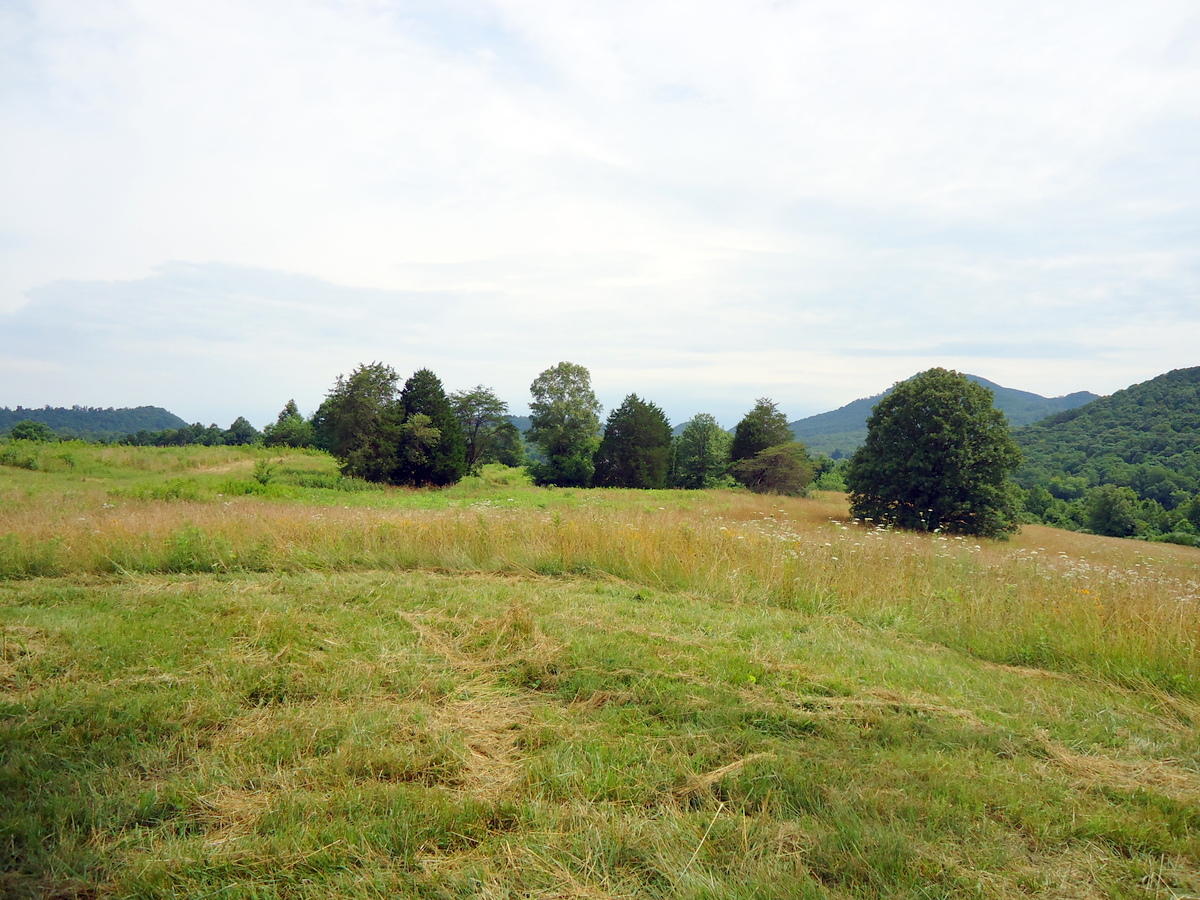Sinking Cave Road Tellico Plains, TN 37385 - Photo 5 of 35 03-DSC08111