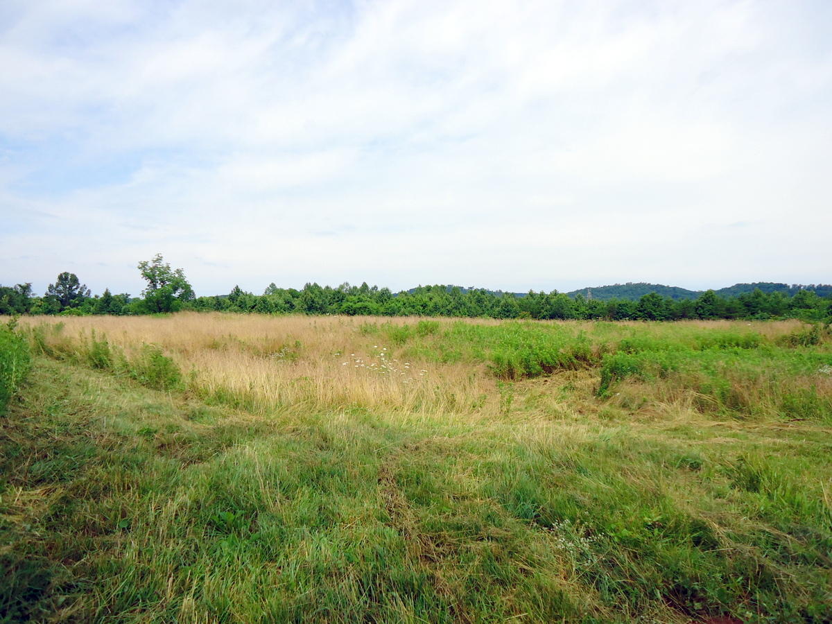 Sinking Cave Road Tellico Plains, TN 37385 - Photo 6 of 35 04-DSC08112