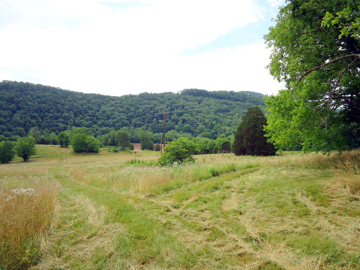 Sinking Cave Road Tellico Plains, TN 37385 - Photo 7 of 35 05-DSC08113