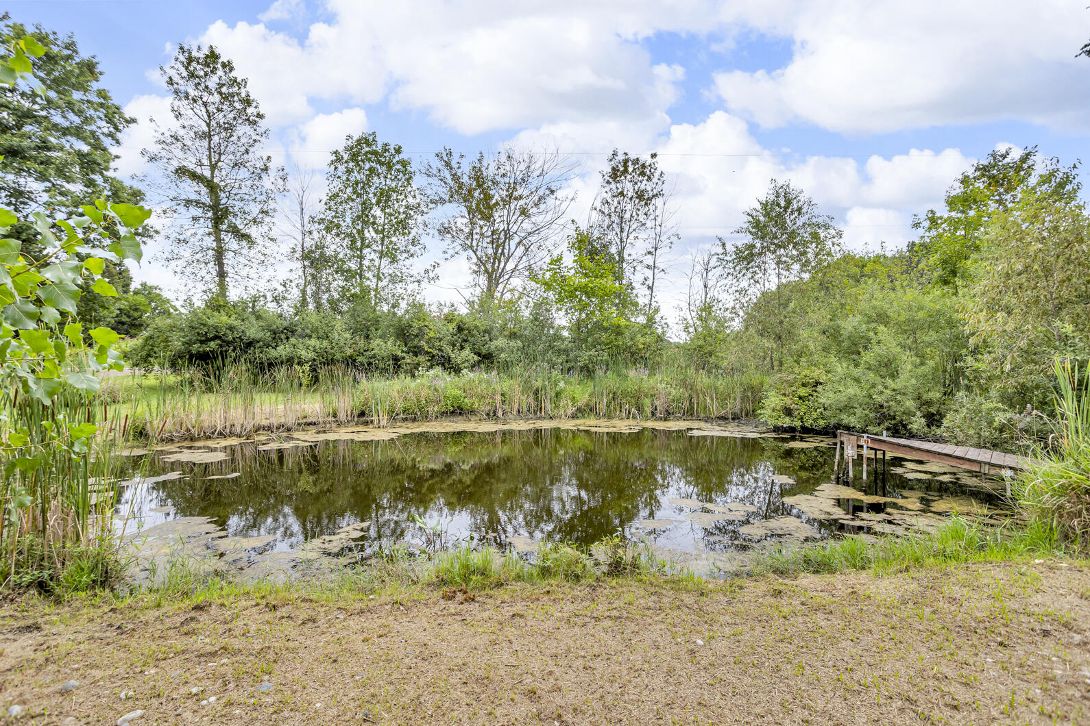 4100 Hawkins Road Jackson, MI 49201 - Photo 30 of 40 0N0A2272