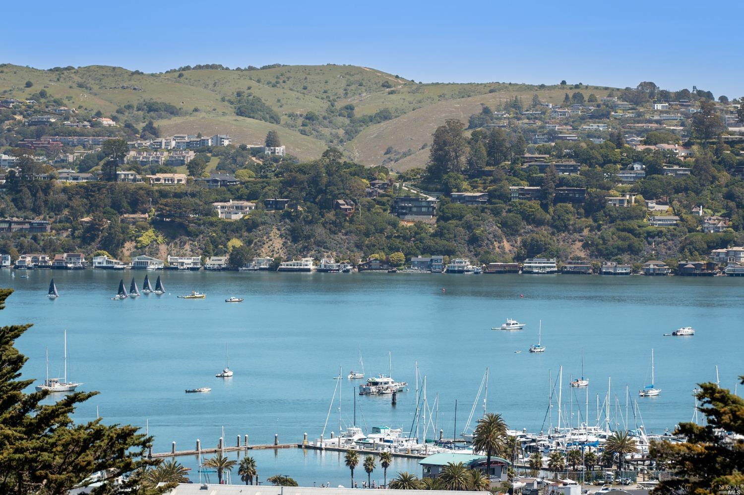 2 Spring Hill Circle Sausalito, CA 94965 - Photo 1 of 57