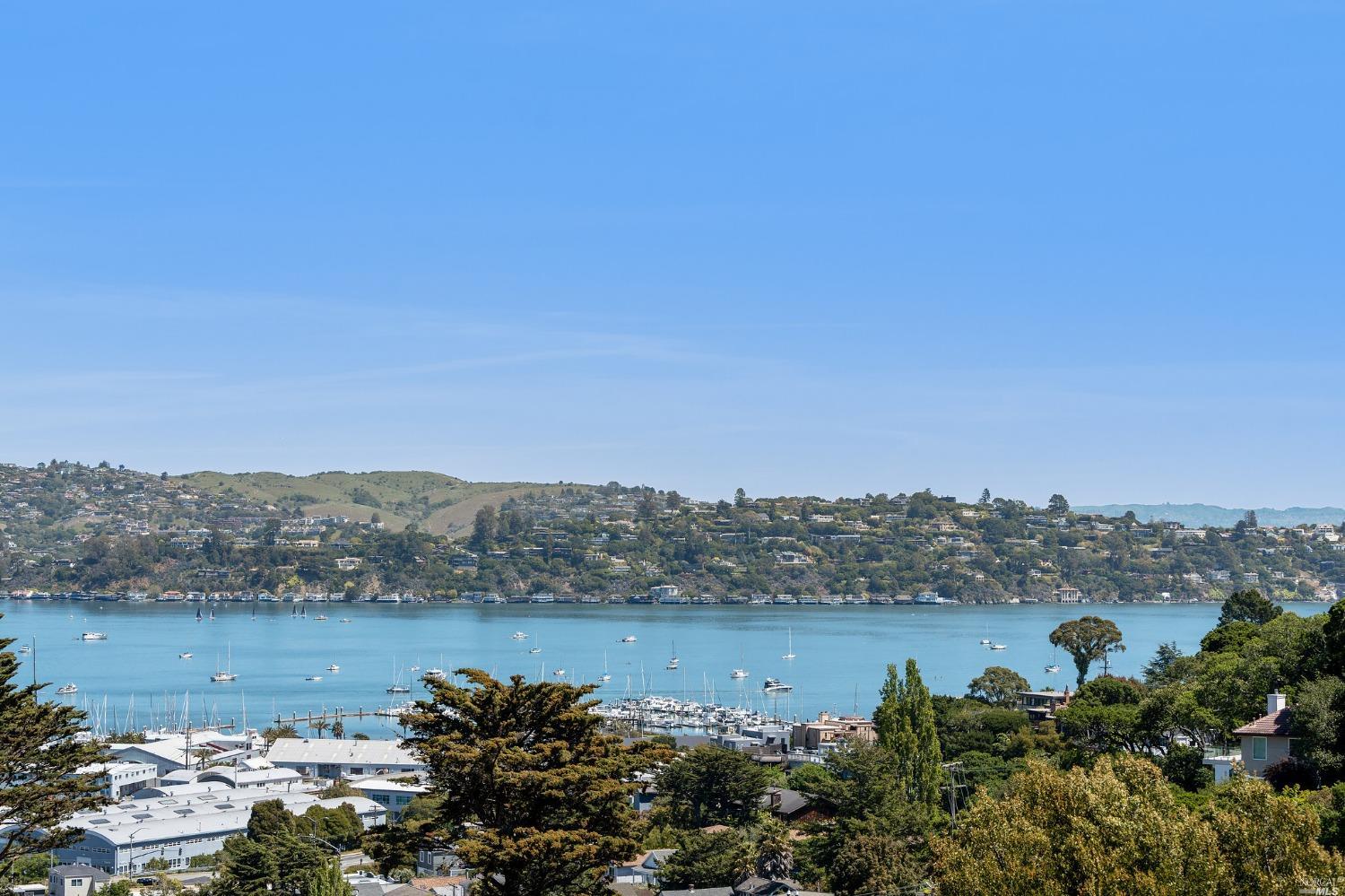 2 Spring Hill Circle Sausalito, CA 94965 - Photo 30 of 57