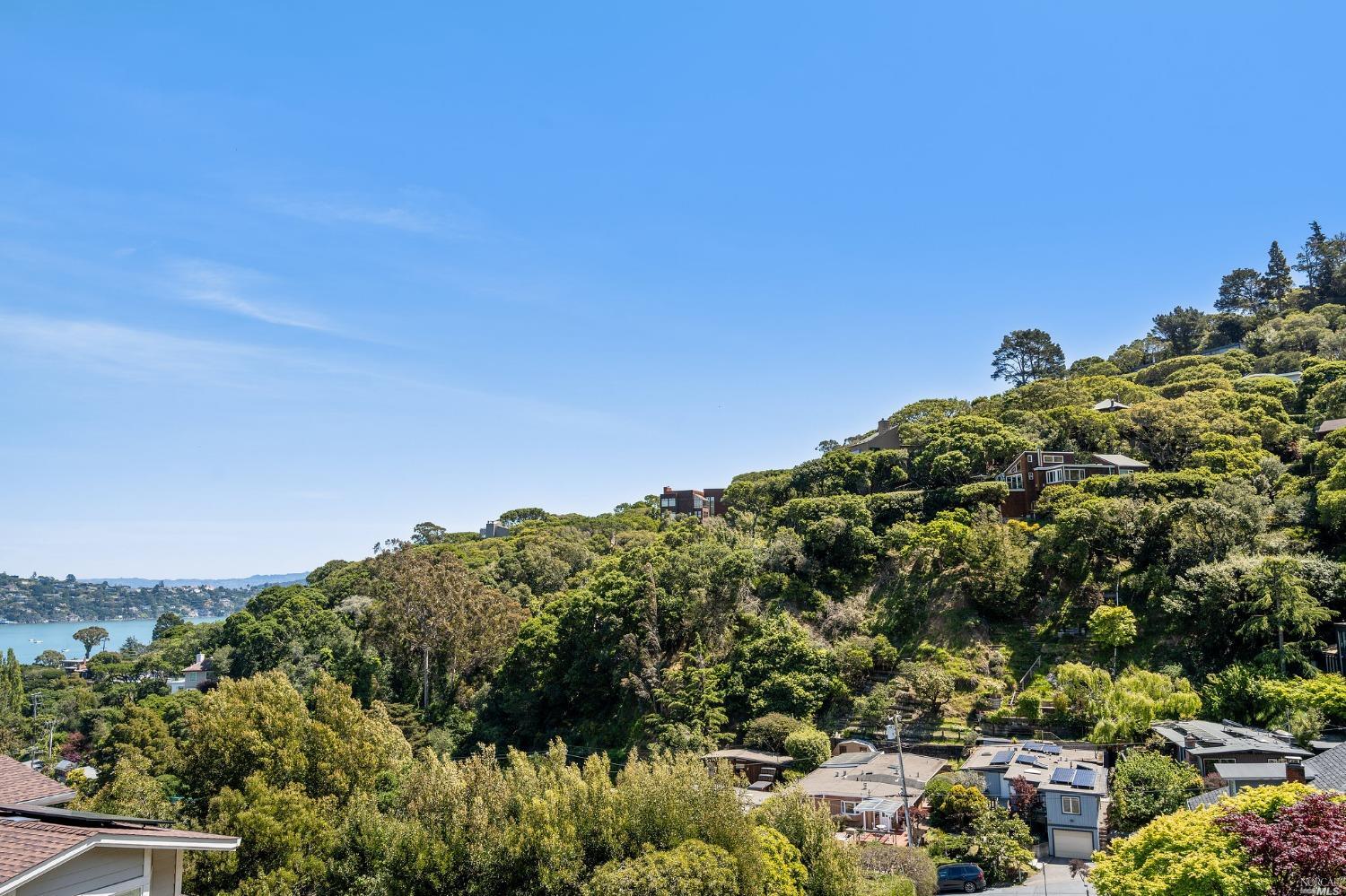 2 Spring Hill Circle Sausalito, CA 94965 - Photo 35 of 57