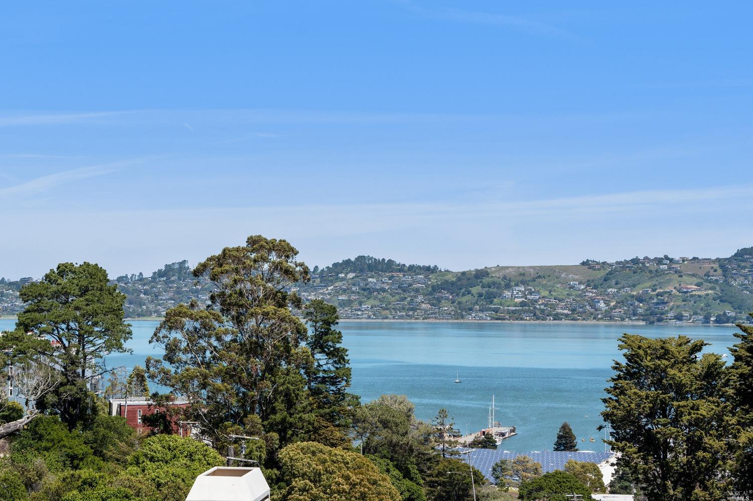 2 Spring Hill Circle Sausalito, CA 94965 - Photo 43 of 57