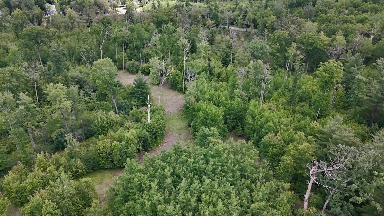 4473 Hamilton Drive Harrison, MI 48625 - Photo 15 of 77 11