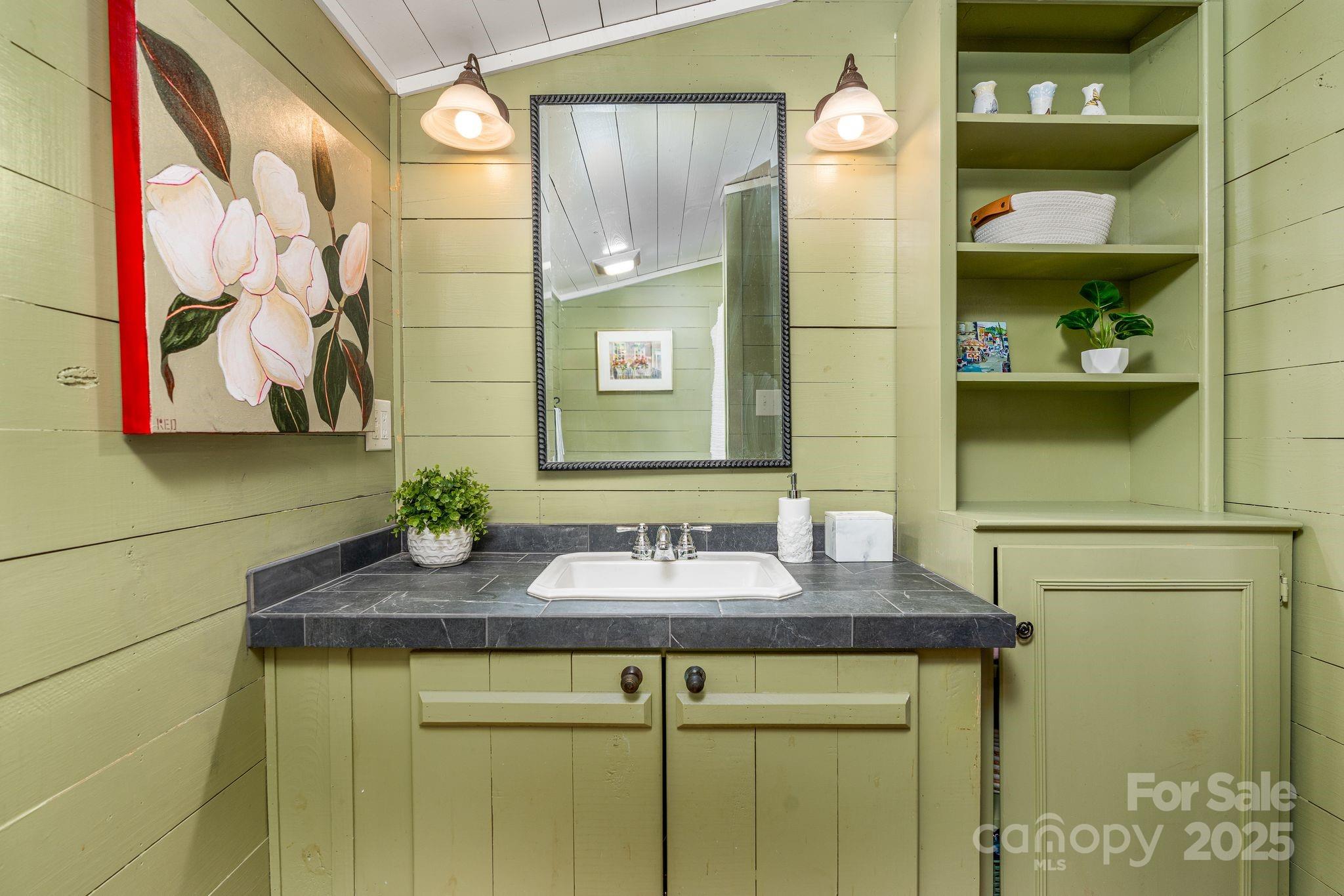 311 North Campbell Road Landrum, SC 29356 - Photo 25 of 48 a bathroom with a sink and a mirror