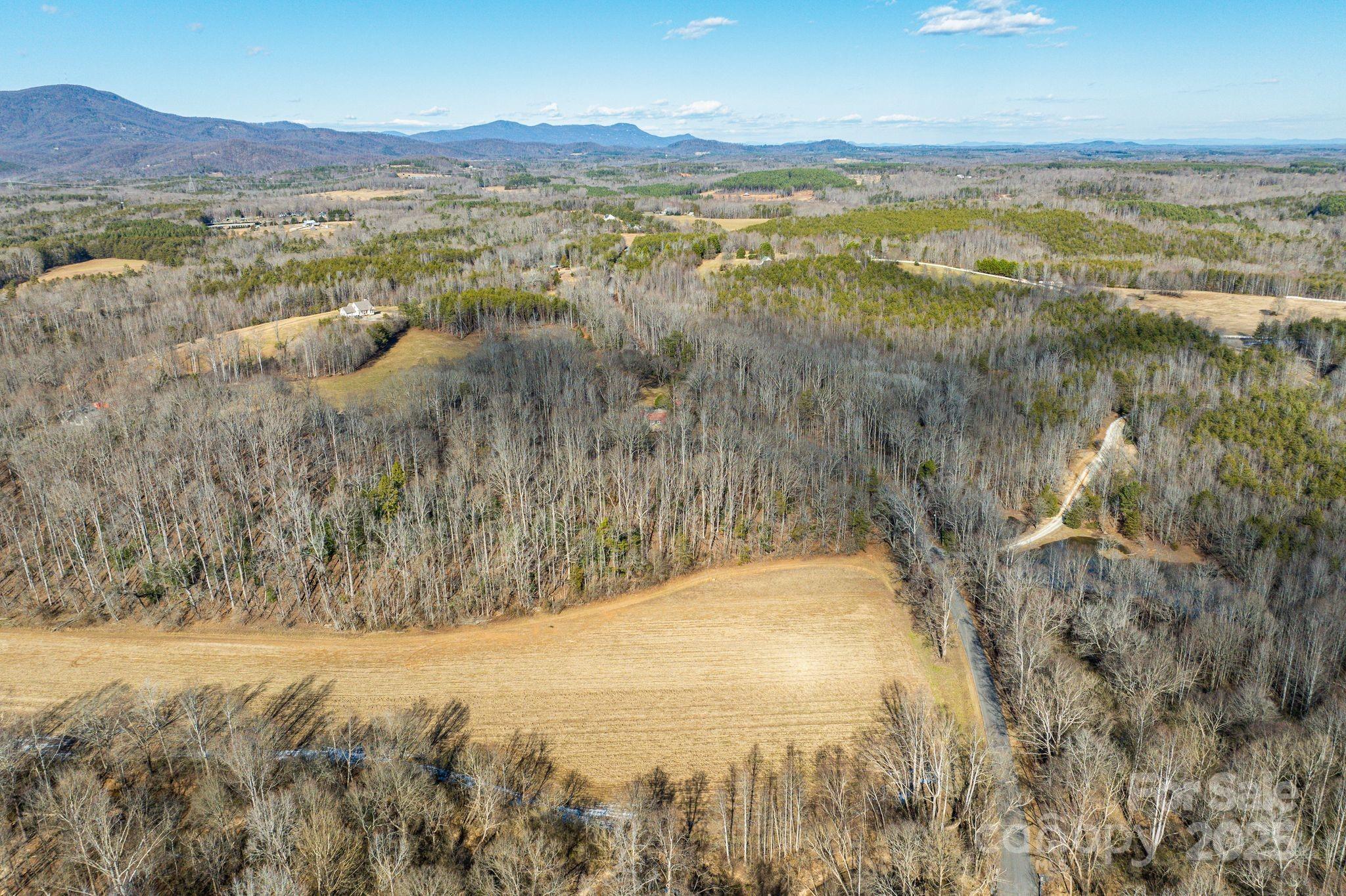 311 North Campbell Road Landrum, SC 29356 - Photo 41 of 48 a view of lake view and mountain