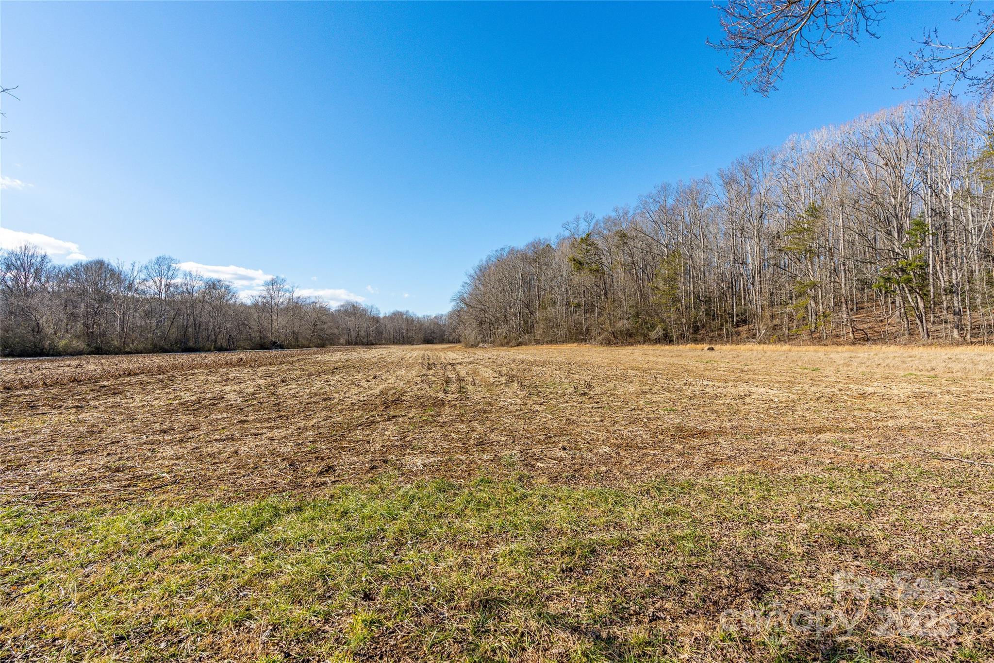 311 North Campbell Road Landrum, SC 29356 - Photo 43 of 48 a view of lake and mountain