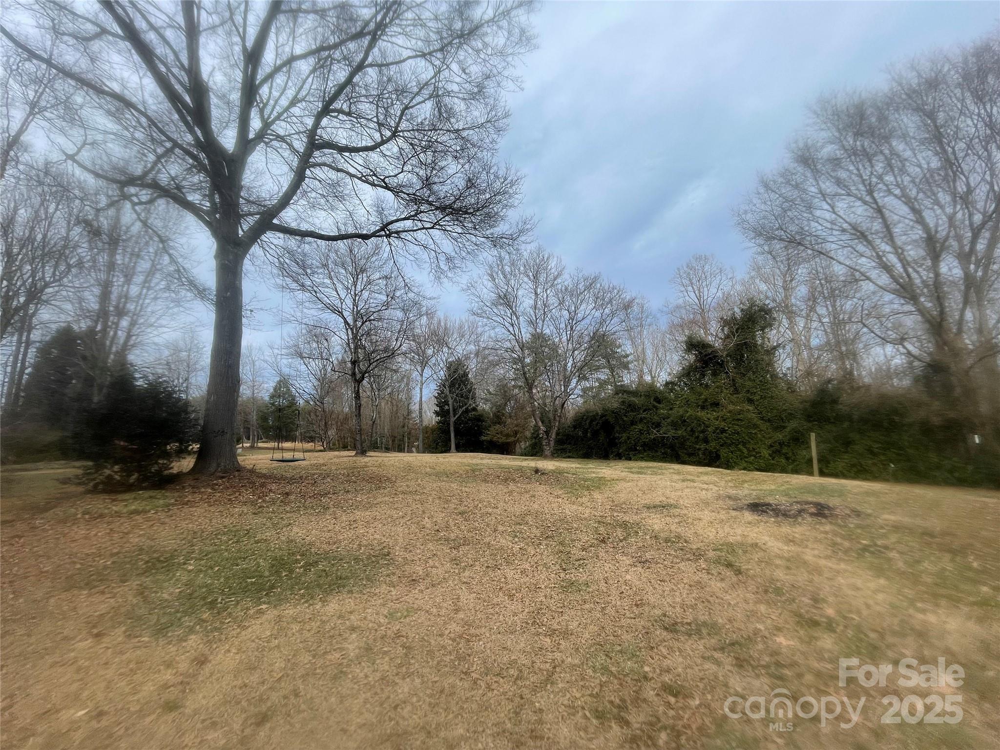311 North Campbell Road Landrum, SC 29356 - Photo 9 of 48 a backyard of a house with large trees