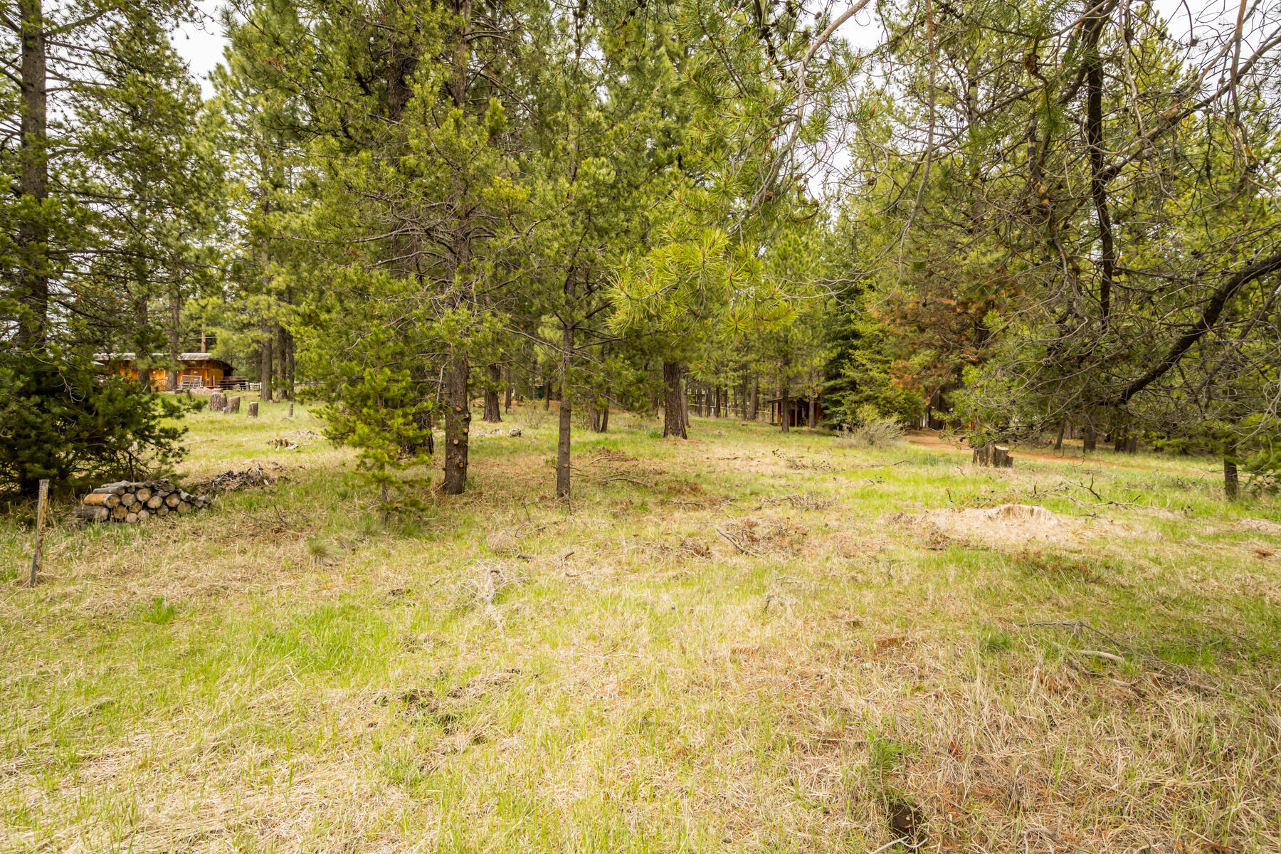 16912 Elsinore Road Bend, OR 97707 - Photo 5 of 15 JH5_9479