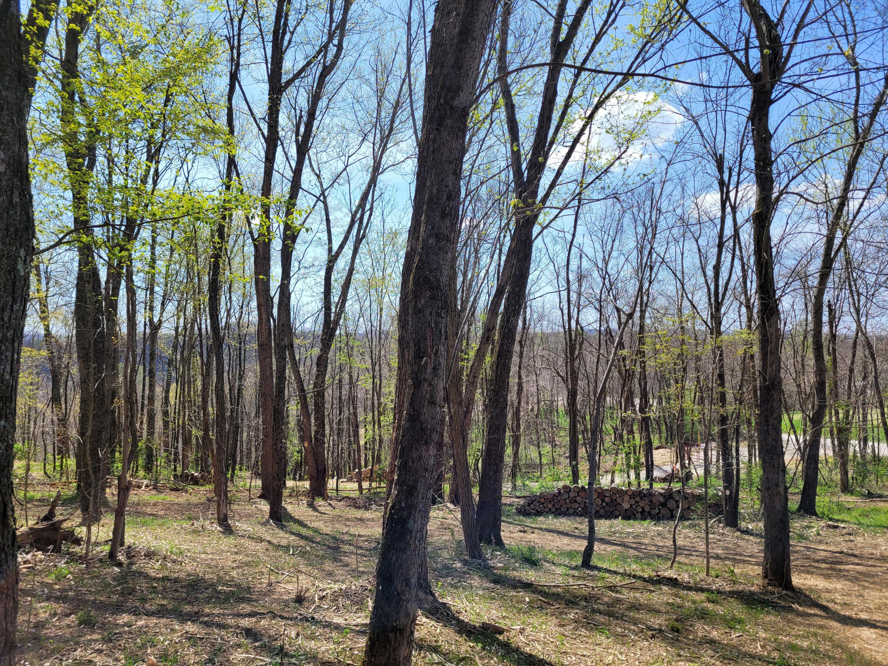 8700 Hoop Pole Road Roseville, OH 43777 - Photo 15 of 46 20220424_120410