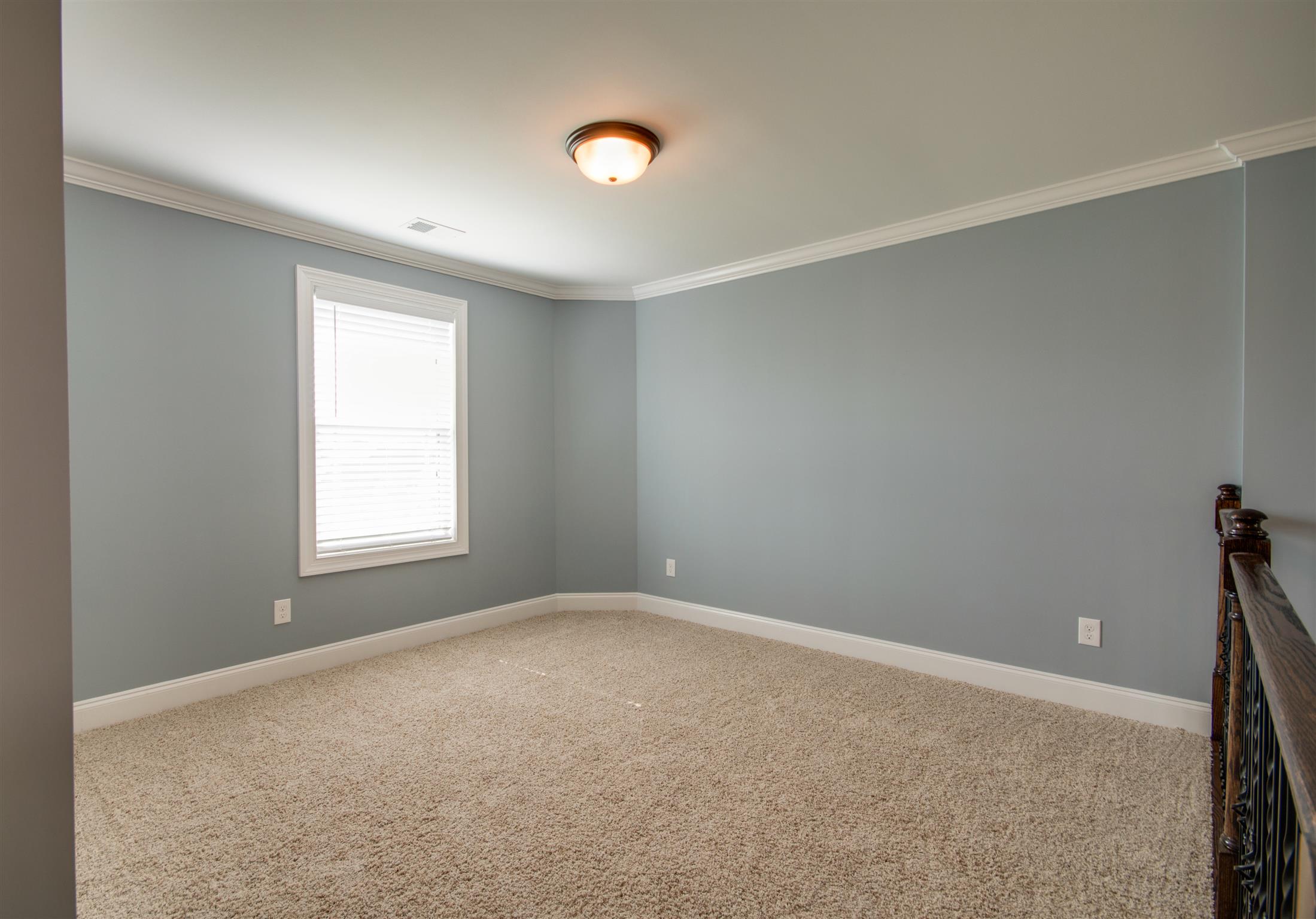 304 Amazonway Ridge Lascassas, TN 37085 - Photo 16 of 27 Gallery Image 16