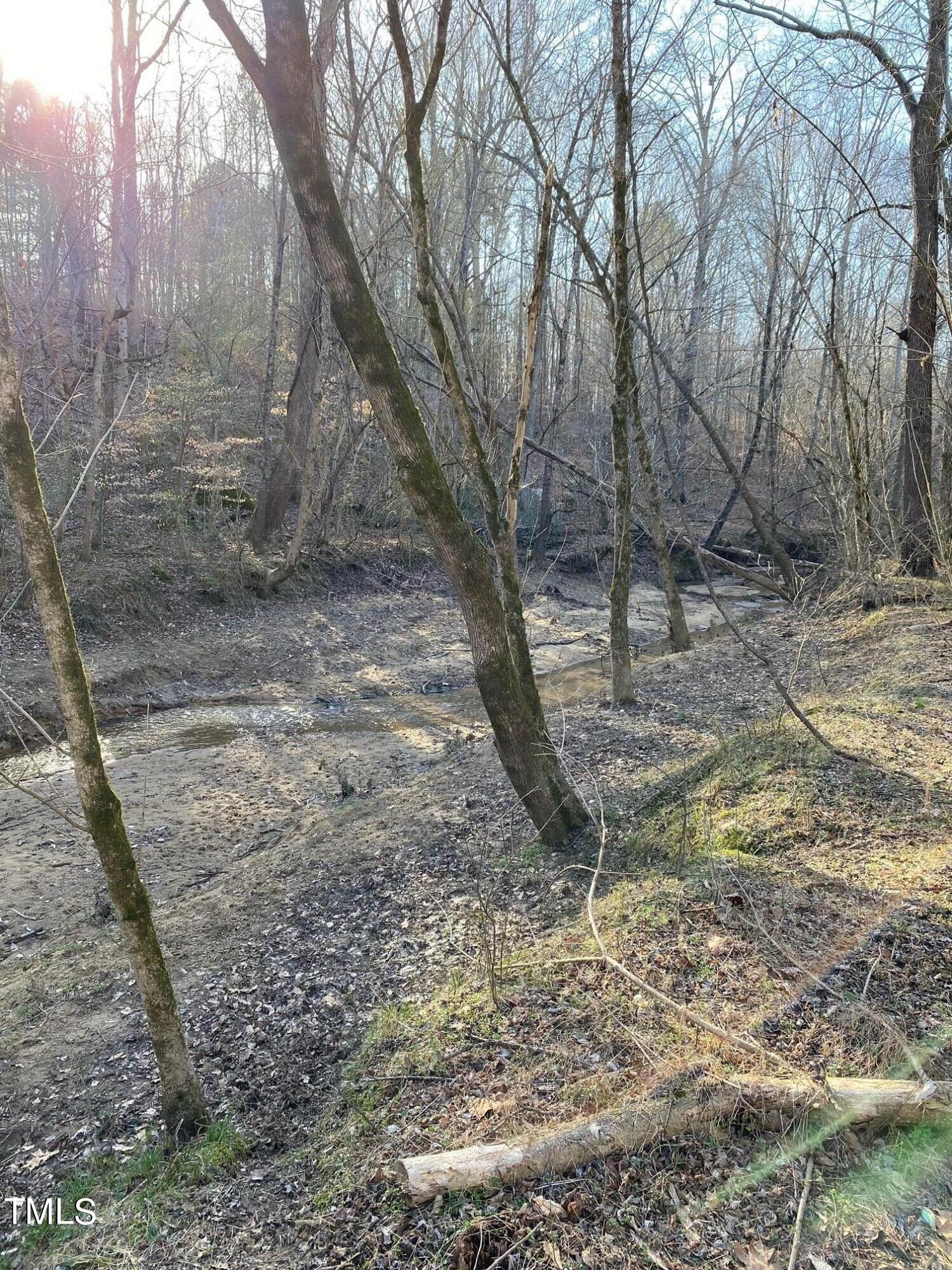 3151 Brogden Road Stem, NC 27581 - Photo 54 of 58 Back in the woods!