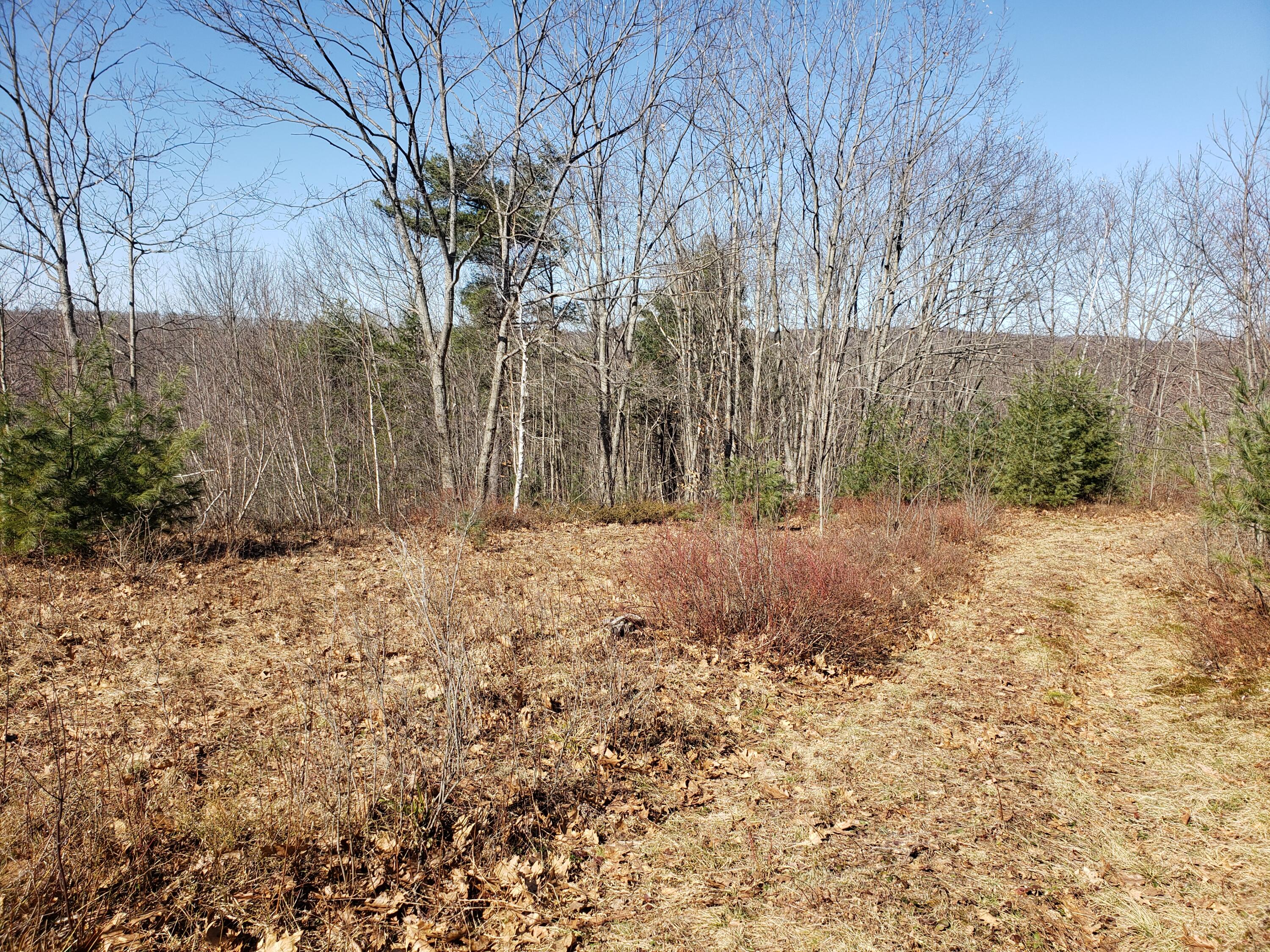 547 Marsh Road Sabattus, ME 04280 - Photo 7 of 16 road east