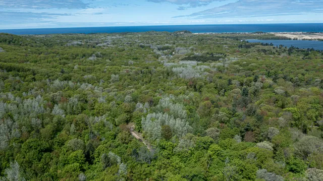 $69,000 | Parcel G-1 North Parcel G-1 N 28th Avenue, Mears, MI 49436