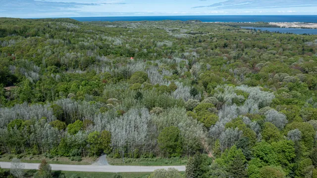 $69,000 | Parcel G-1 North Parcel G-1 N 28th Avenue, Mears, MI 49436