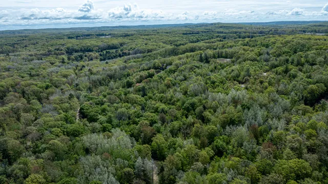 $69,000 | Parcel G-1 North Parcel G-1 N 28th Avenue, Mears, MI 49436