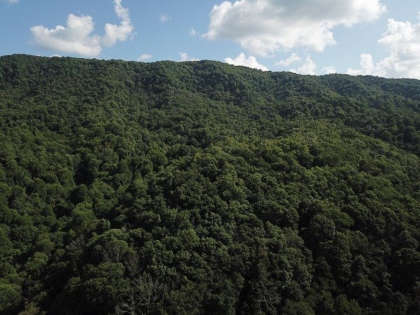 0 Nebo Mountain Road Ceres, VA 24318 - Photo 11 of 33 Gallery Image 11