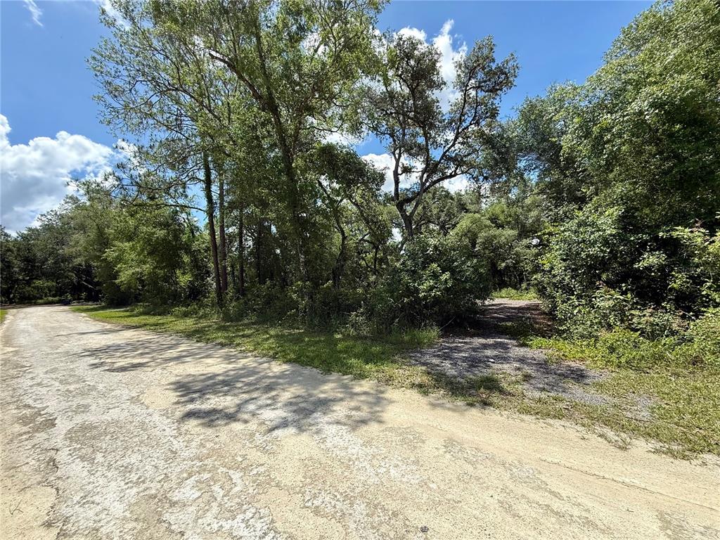 Long Circle Webster, FL 33597 - Photo 5 of 11