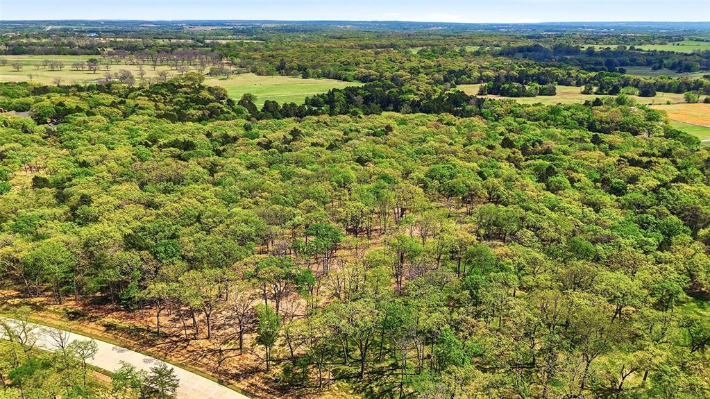 Lot 13 Buck Trail Road Pottsboro, TX 75076 - Photo 13 of 18