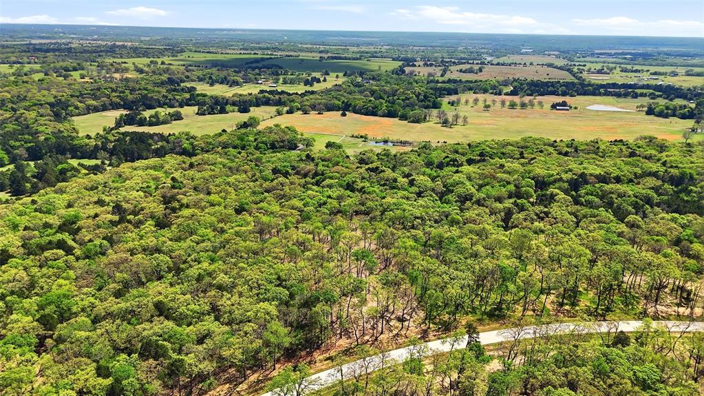 Lot 13 Buck Trail Road Pottsboro, TX 75076 - Photo 14 of 18