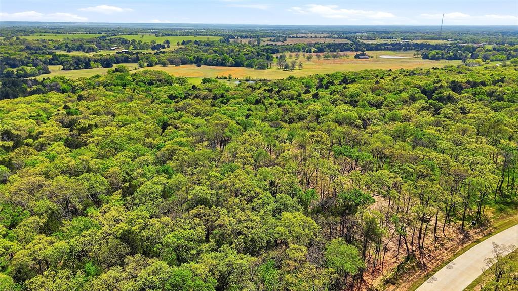 Lot 13 Buck Trail Road Pottsboro, TX 75076 - Photo 17 of 18