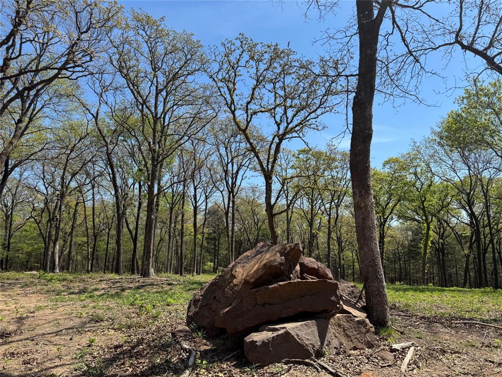 Lot 13 Buck Trail Road Pottsboro, TX 75076 - Photo 18 of 18 Boulders ready for your hardscape