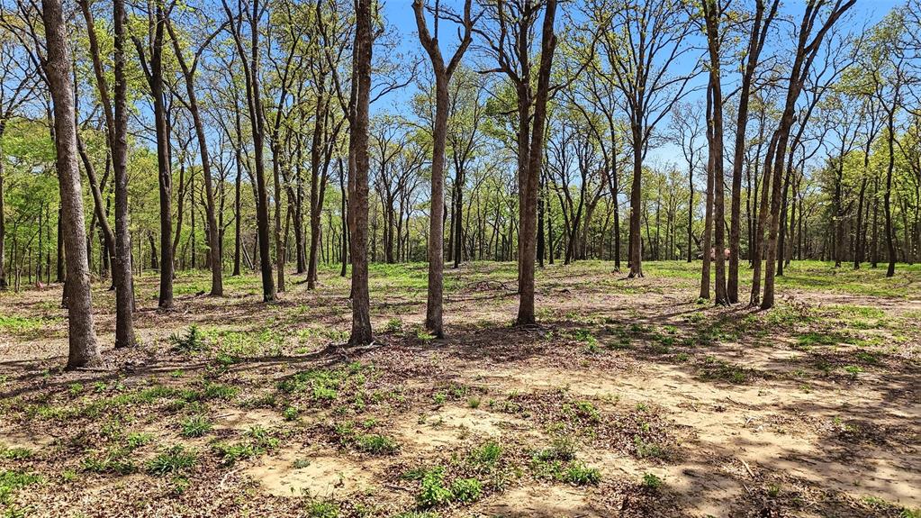 Lot 13 Buck Trail Road Pottsboro, TX 75076 - Photo 2 of 18