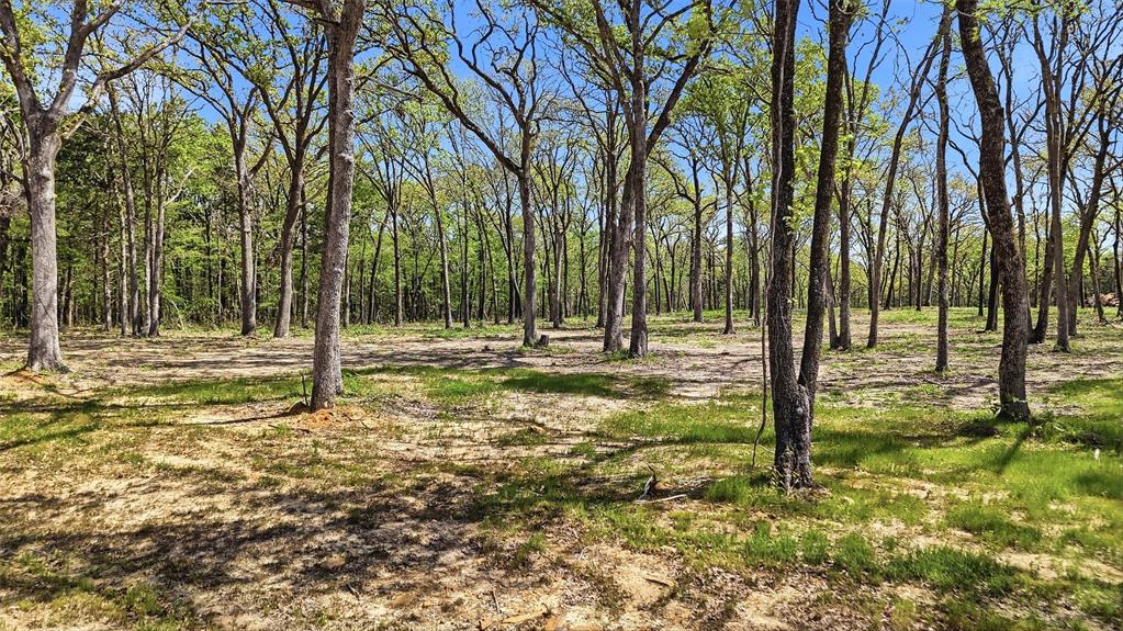 Lot 13 Buck Trail Road Pottsboro, TX 75076 - Photo 3 of 18