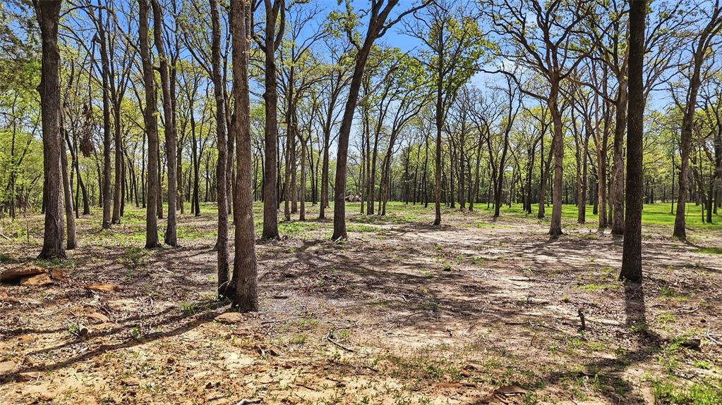 Lot 13 Buck Trail Road Pottsboro, TX 75076 - Photo 4 of 18