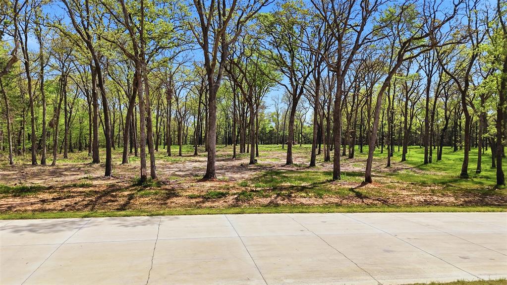 Lot 13 Buck Trail Road Pottsboro, TX 75076 - Photo 6 of 18