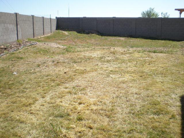 2985 South Conestoga Road Apache Junction, AZ 85119 - Photo 9 of 9 backyard
