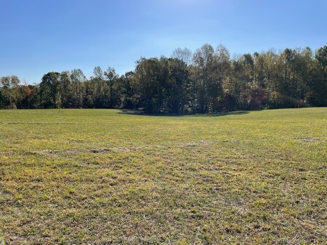 10 Riley Creek Road Normandy, TN 37360 - Photo 1 of 1 a view of an ocean view