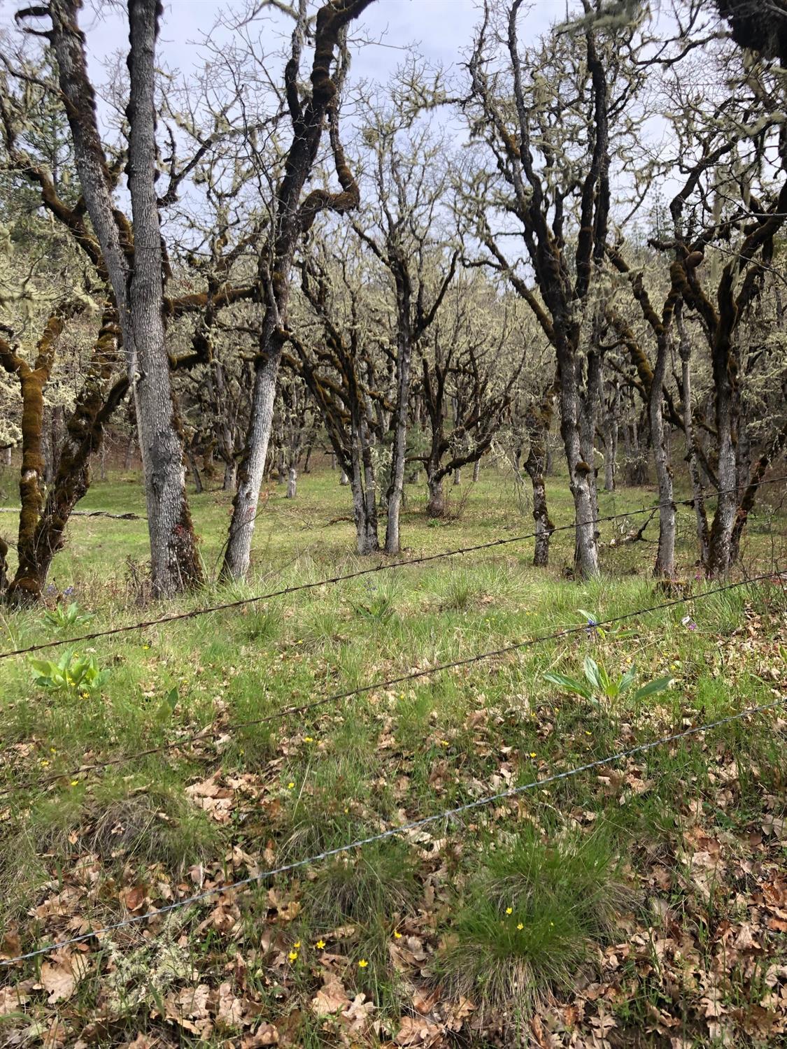 14910 Meadows Road White City, OR 97503 - Photo 1 of 5 Primary Photo
