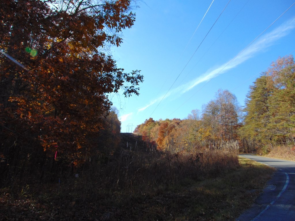 0 Raccoon Ridge Road Spring City, TN 37381 - Photo 65 of 70