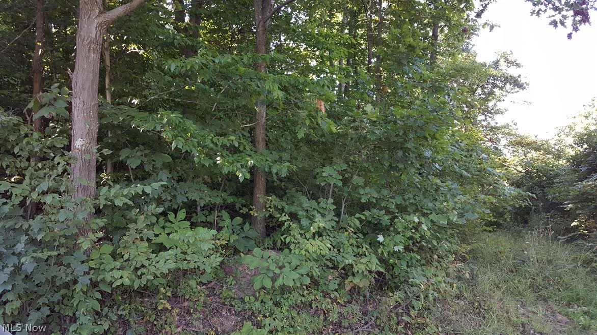 Sparrow Road Salesville, OH 43778 - Photo 1 of 2 Gallery Image 1