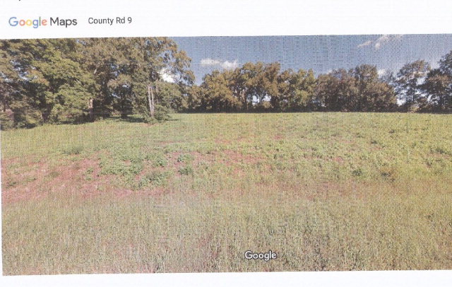 0 County Road 9 Slocomb, AL 36375 - Photo 1 of 1
