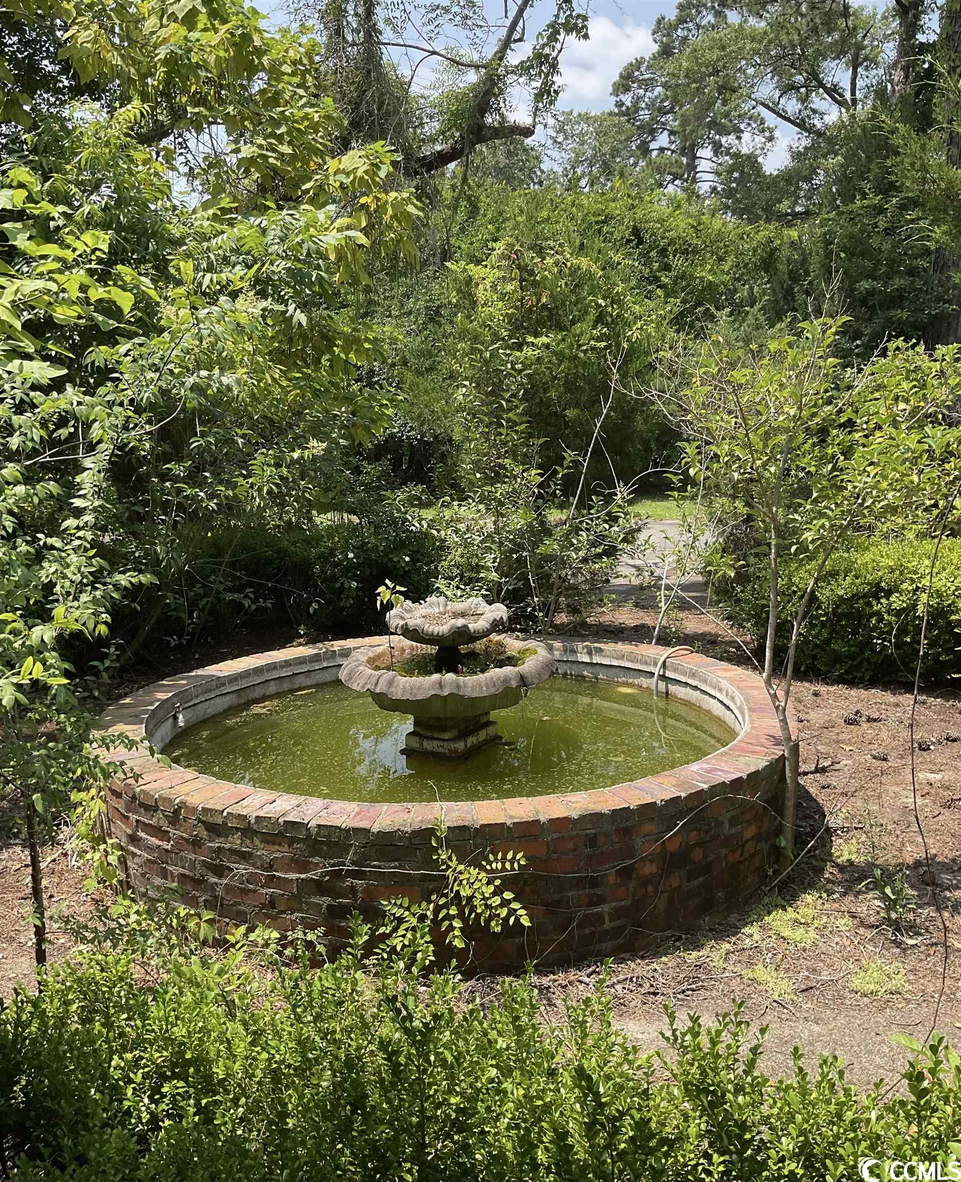 805 Elm Street Conway, SC 29526 - Photo 24 of 25